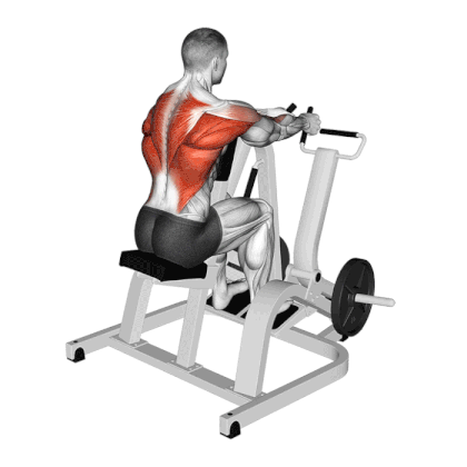 Chest Supported Row